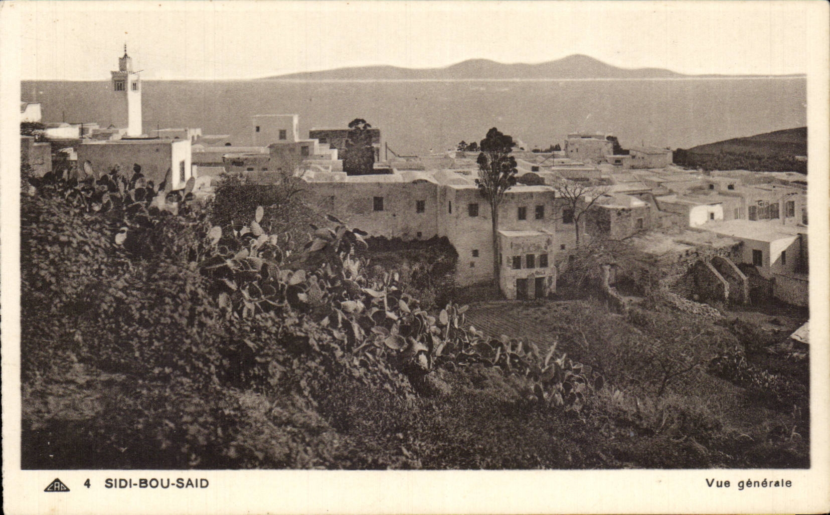 CPA Tunisie Sidi Bou Said Vue generale