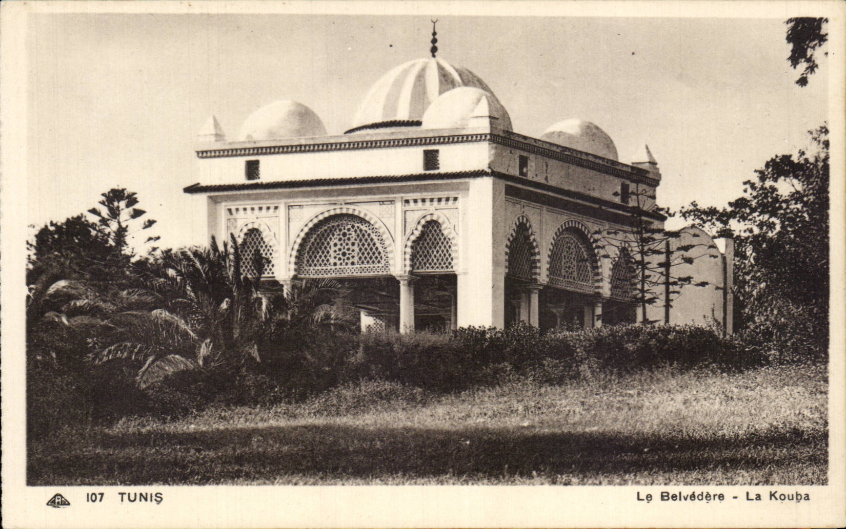 CPA Tunisie Tunis Le belvedere La Kouba