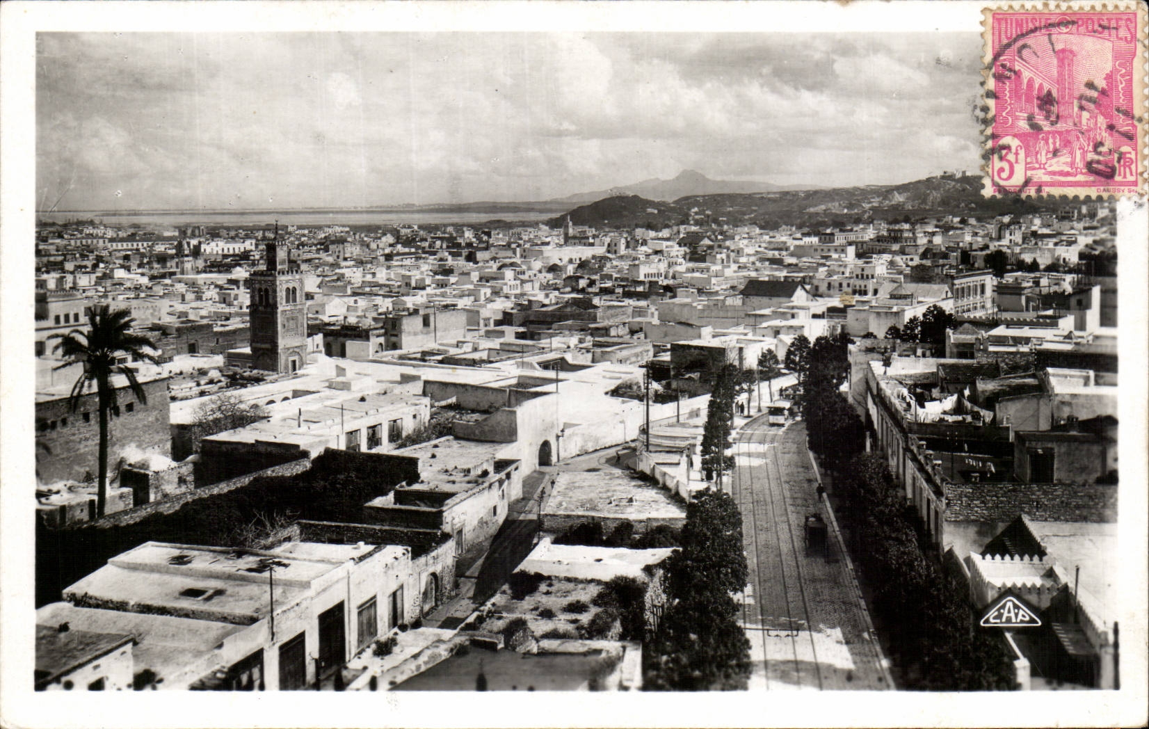 CPA Tunisie Tunis Vue generale