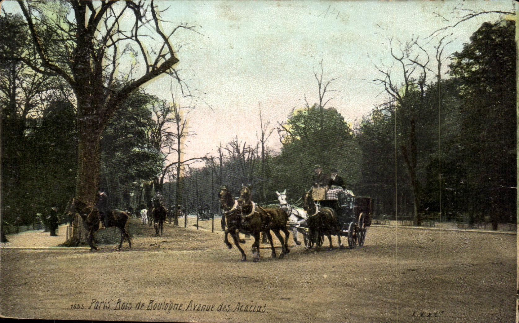CPA Paris Bois de Boulogne Avenue des Acacias