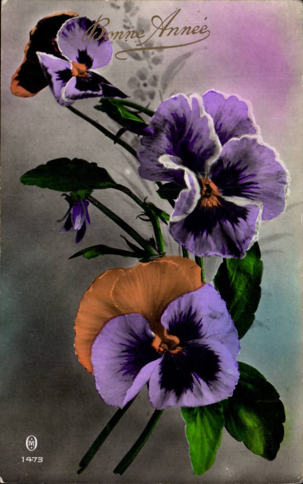 Fleurs Pensee - Pansy - Bonnee Annee - CPA