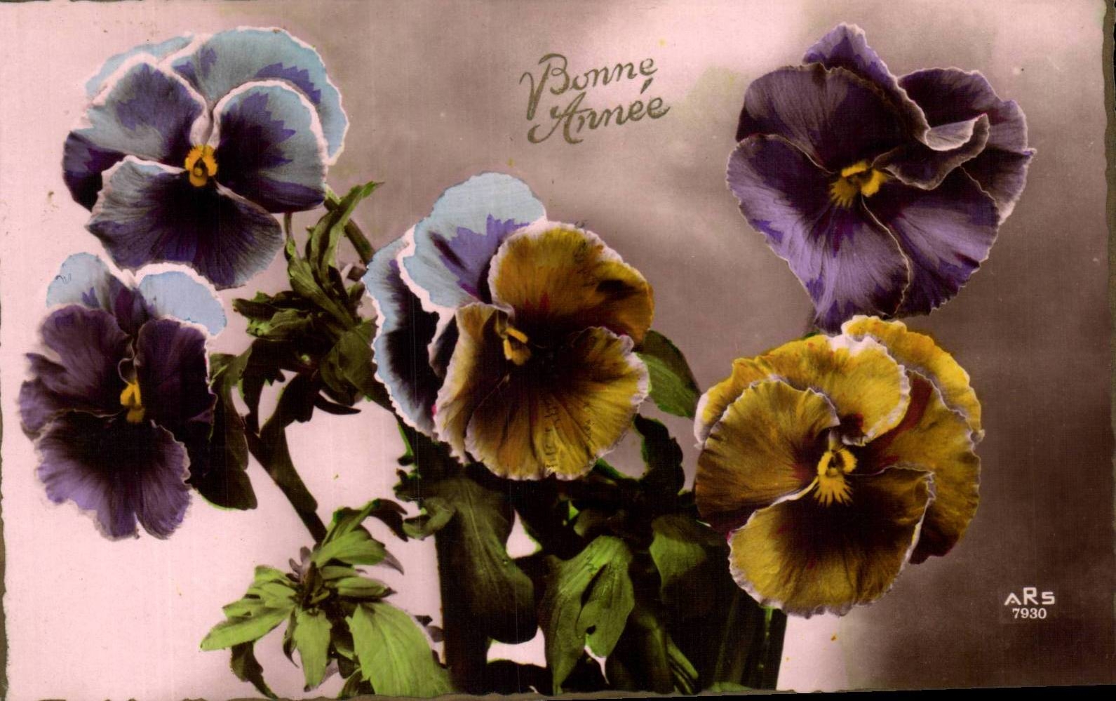 Fleurs Pensee - Pansy - Bonnee Annee - CPA