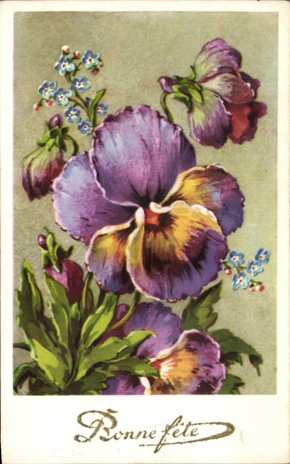 Fleurs Pensee - Pansy - Bonne Fete - CPA 