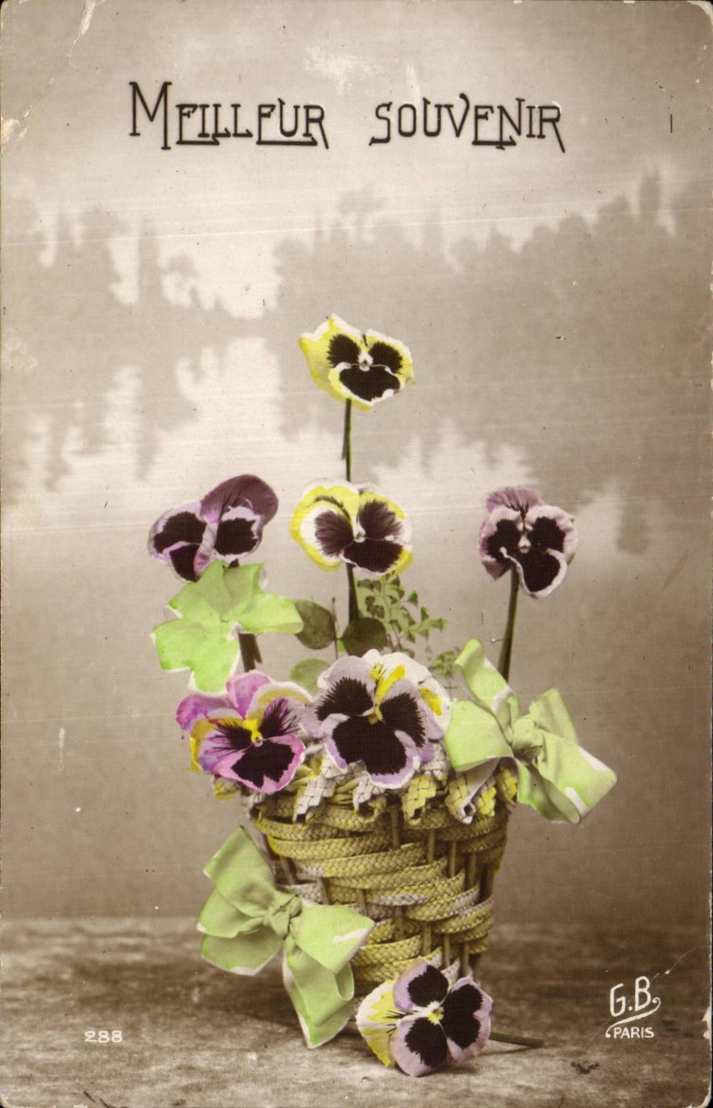 Fleurs Pensee - Pansy - Meilleur Souvenir - CPA 