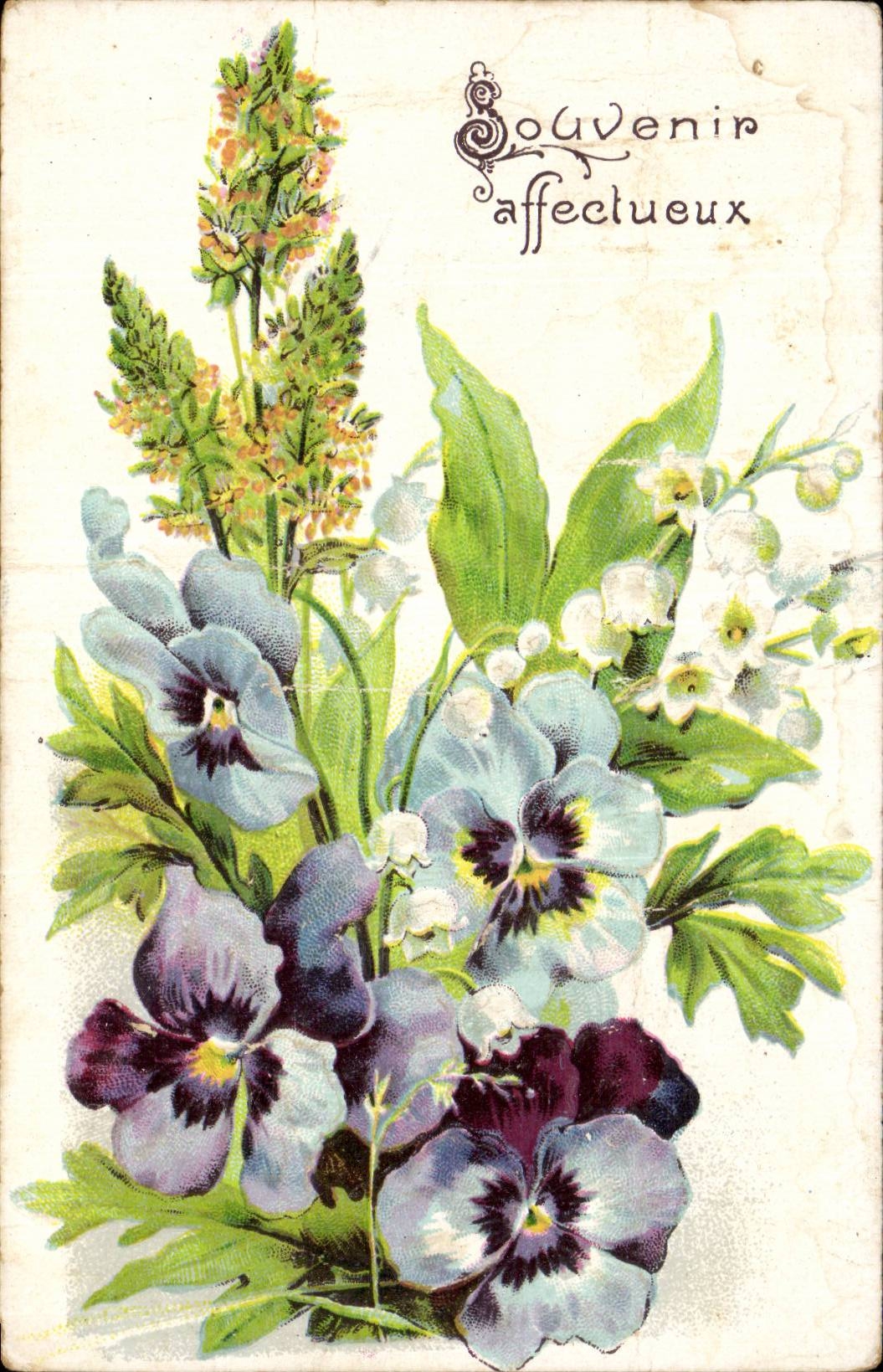 Fleurs Pensee - Pansy - Souvenir Affecteux - CPA 