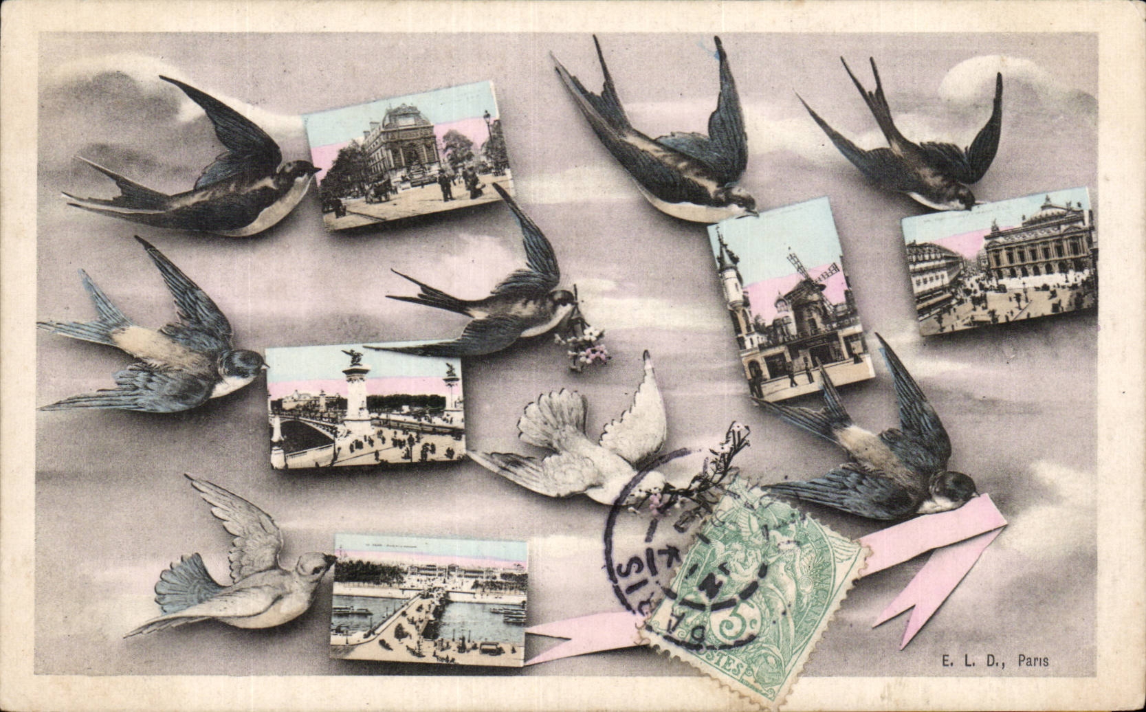 Paris - 1 - Souvenir - Bird - birds - CPA