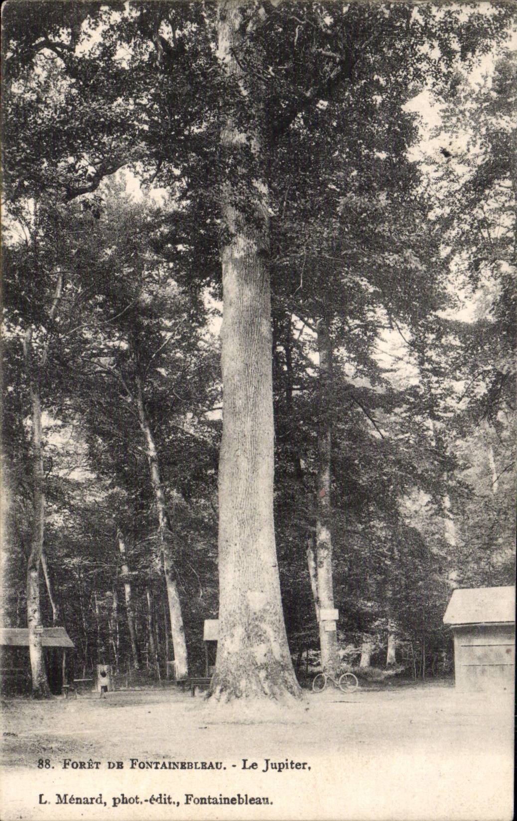 CPA Fontainebleau Foret Le Jupiter