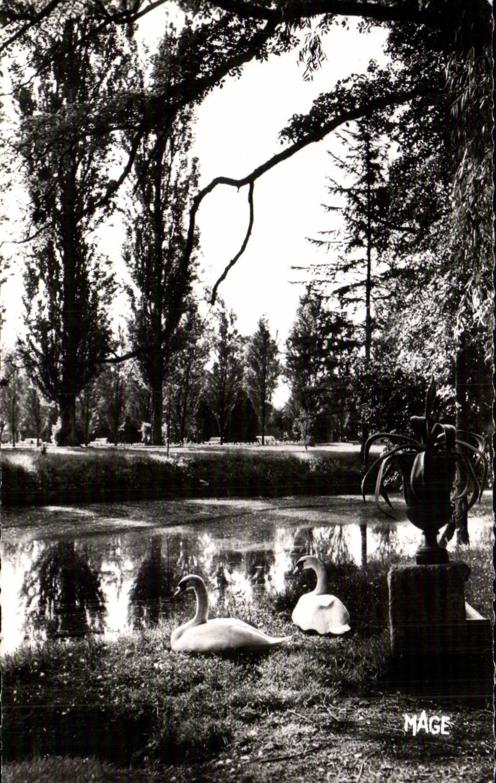 CPSM Coulommiers Park of the Capuchins swans
