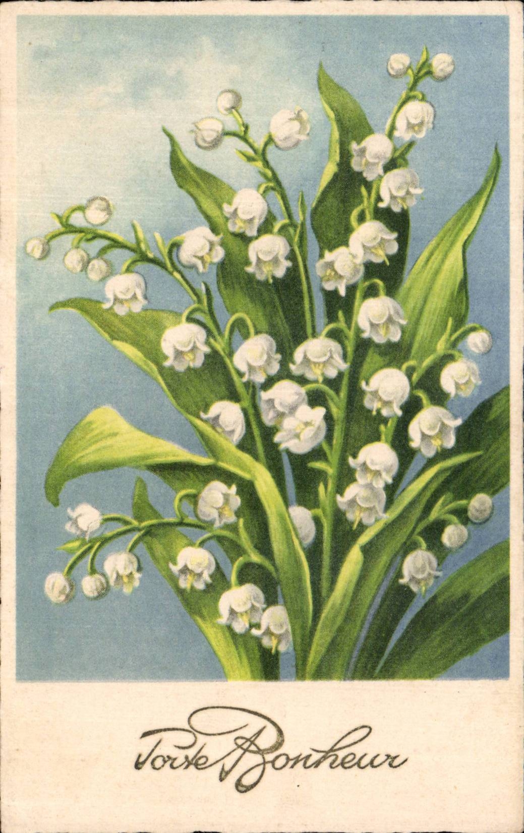 Fleurs Muguet - Porte Bonheur - Lily of the Valley - CPA 