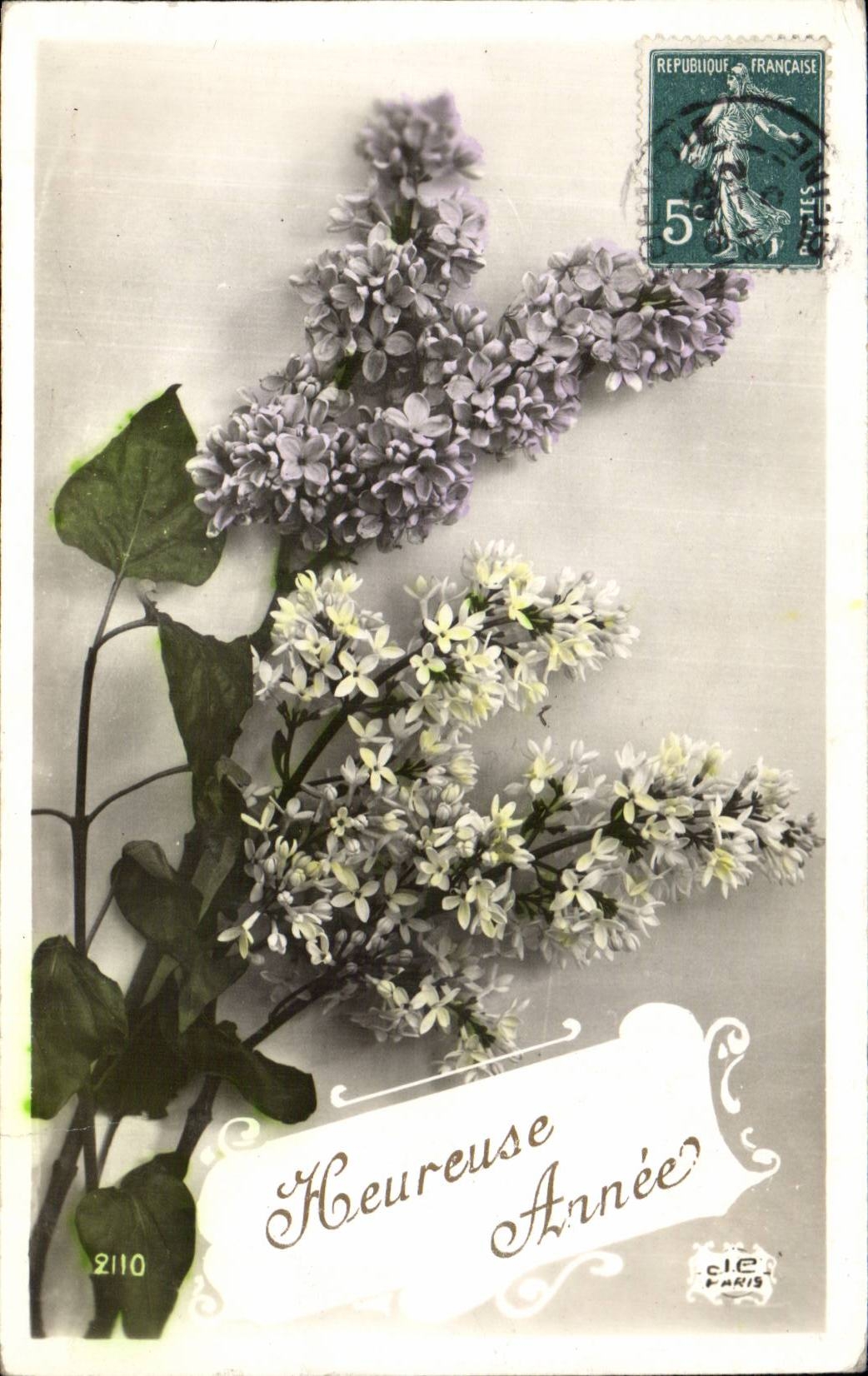 Fleurs Heureux Annee - CPA 
