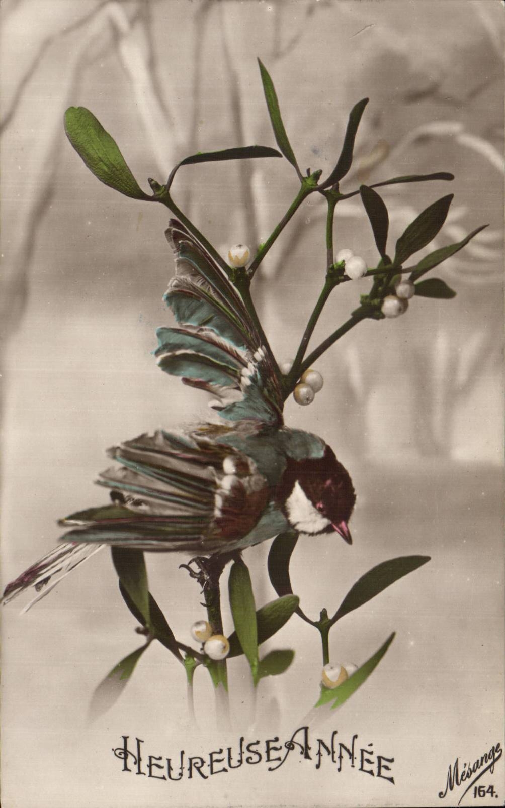 Festivals - Wishes - Happy New Year - houx - holly Bird Bird - CPA