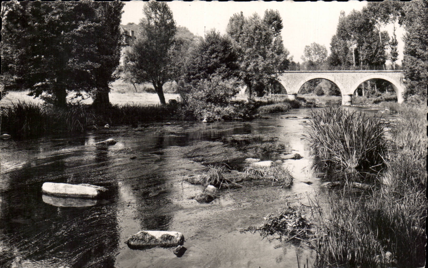 CPSM St Leonard des Bois Pont de la Rouerie 