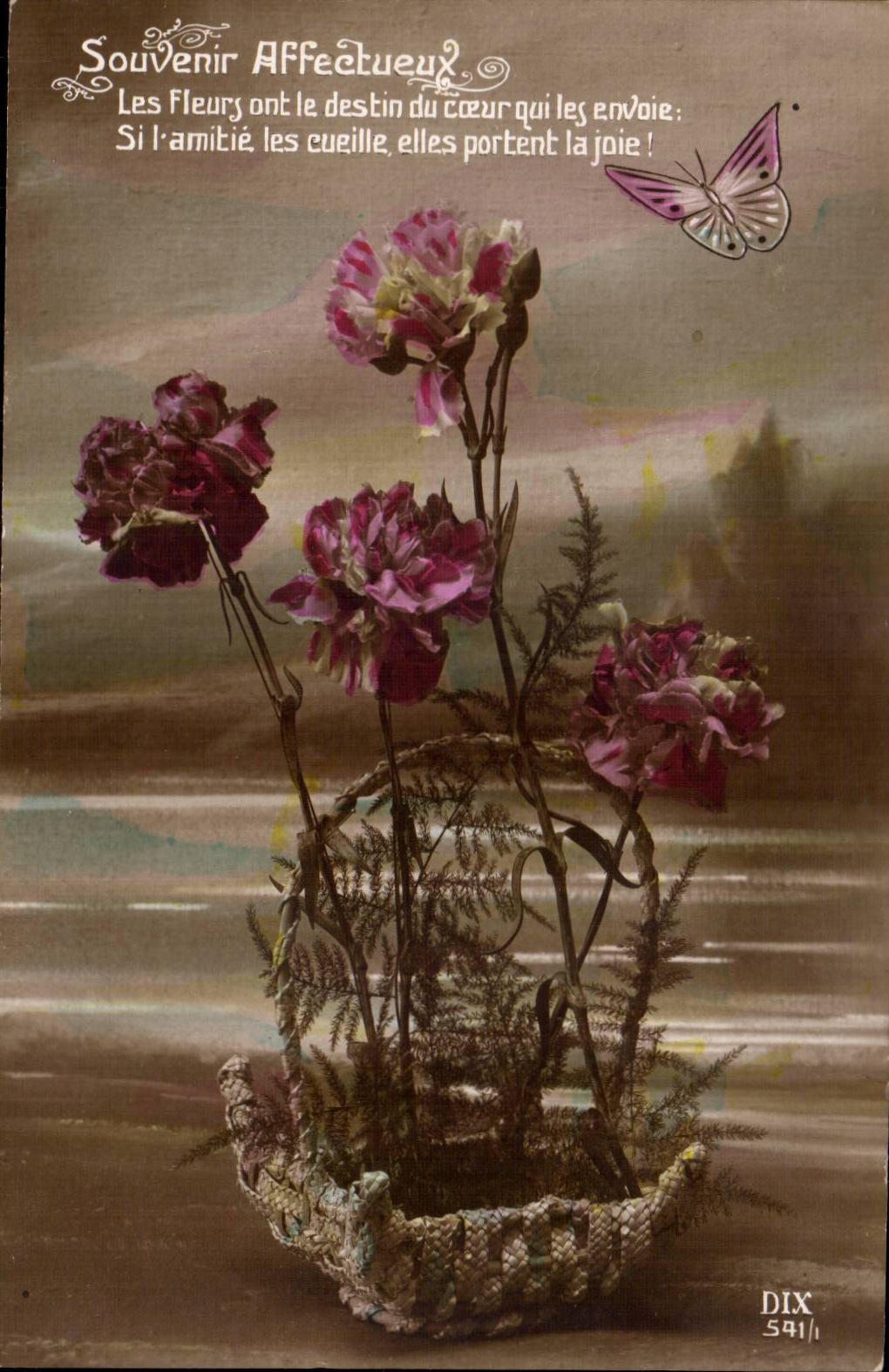 Fleur Oeillet - Carnation - papillon - butterfly - CPA 