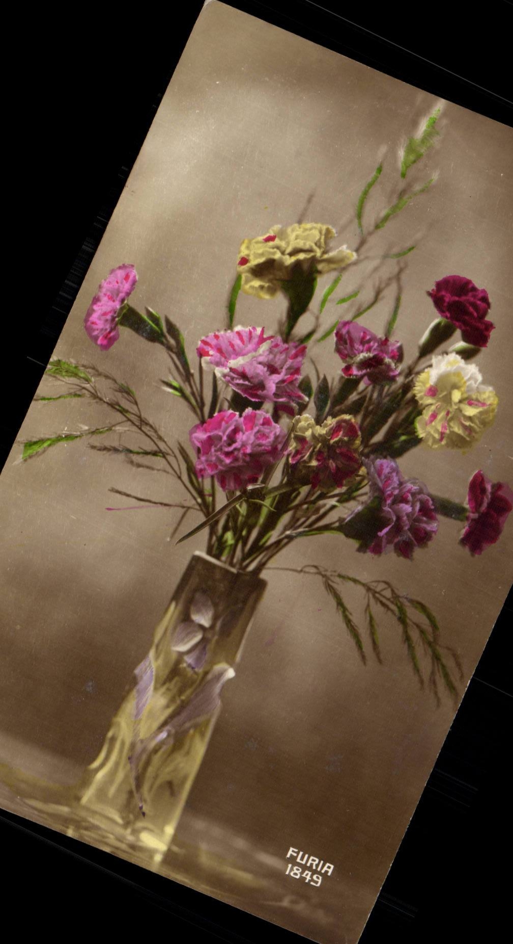 Fleur Oeillet - Carnation - CPA 