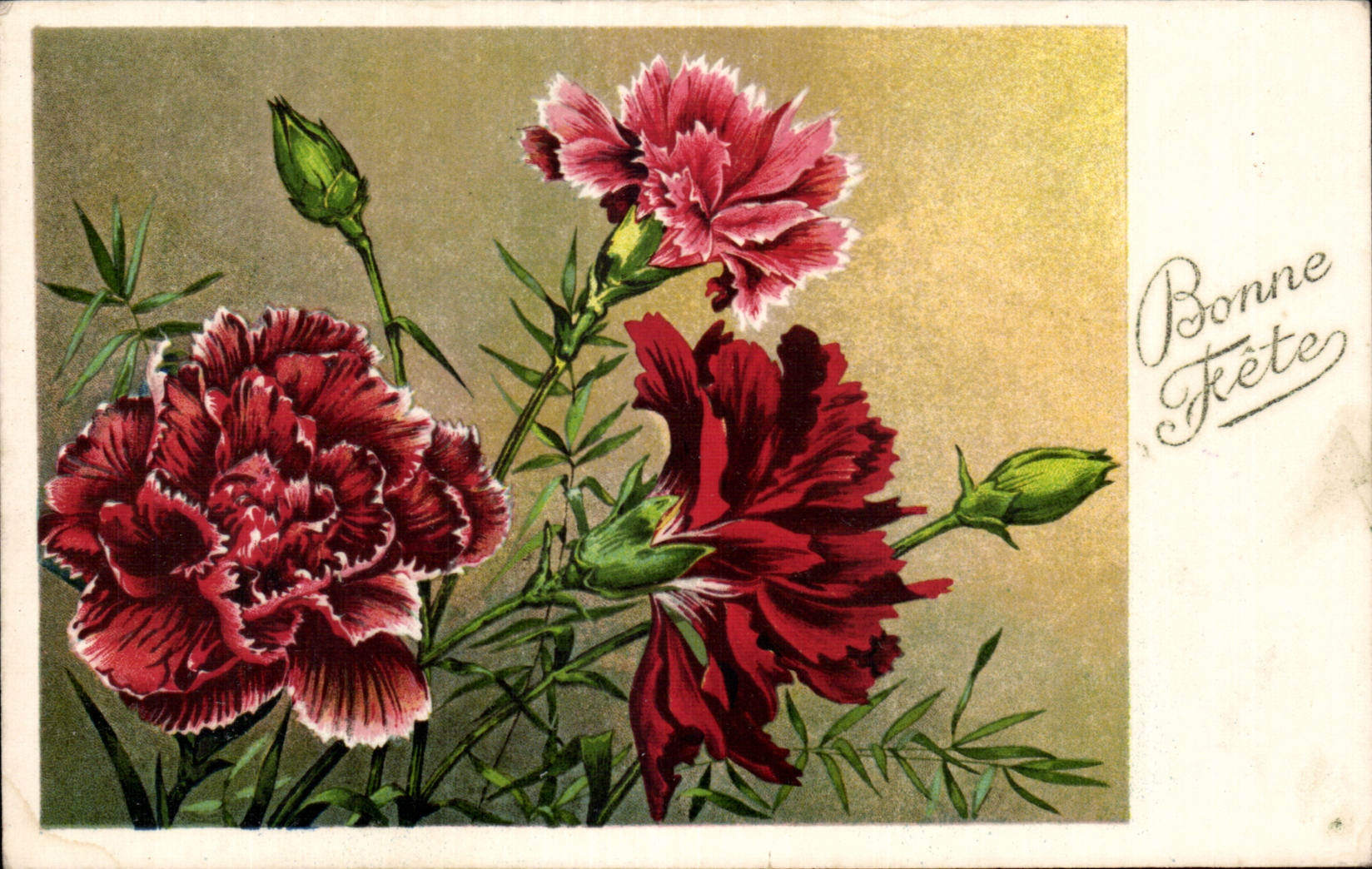 Fleur Oeillet - Carnation - Bonne Fete - CPA 