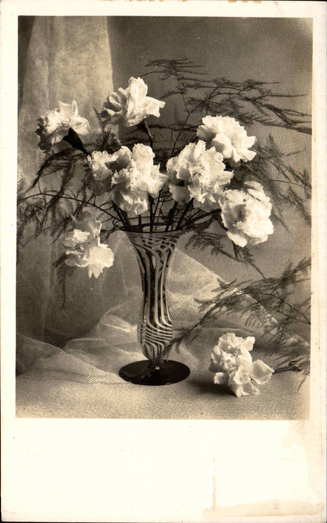 Fleur Oeillet - Carnation - CPA 