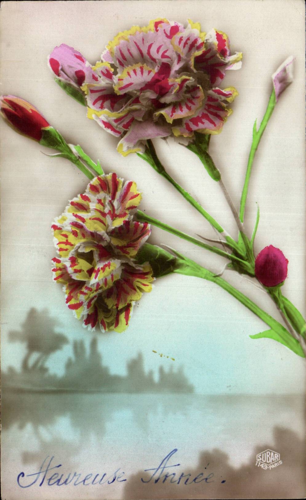 Fleur Oeillet - Carnation - CPA 