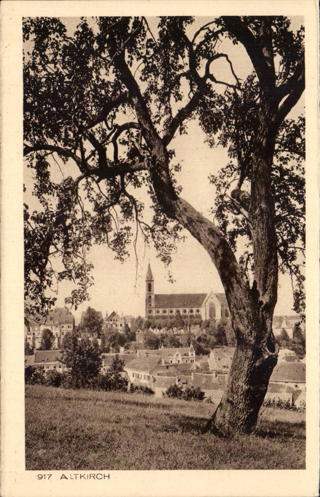 Altkirch - View - CPA