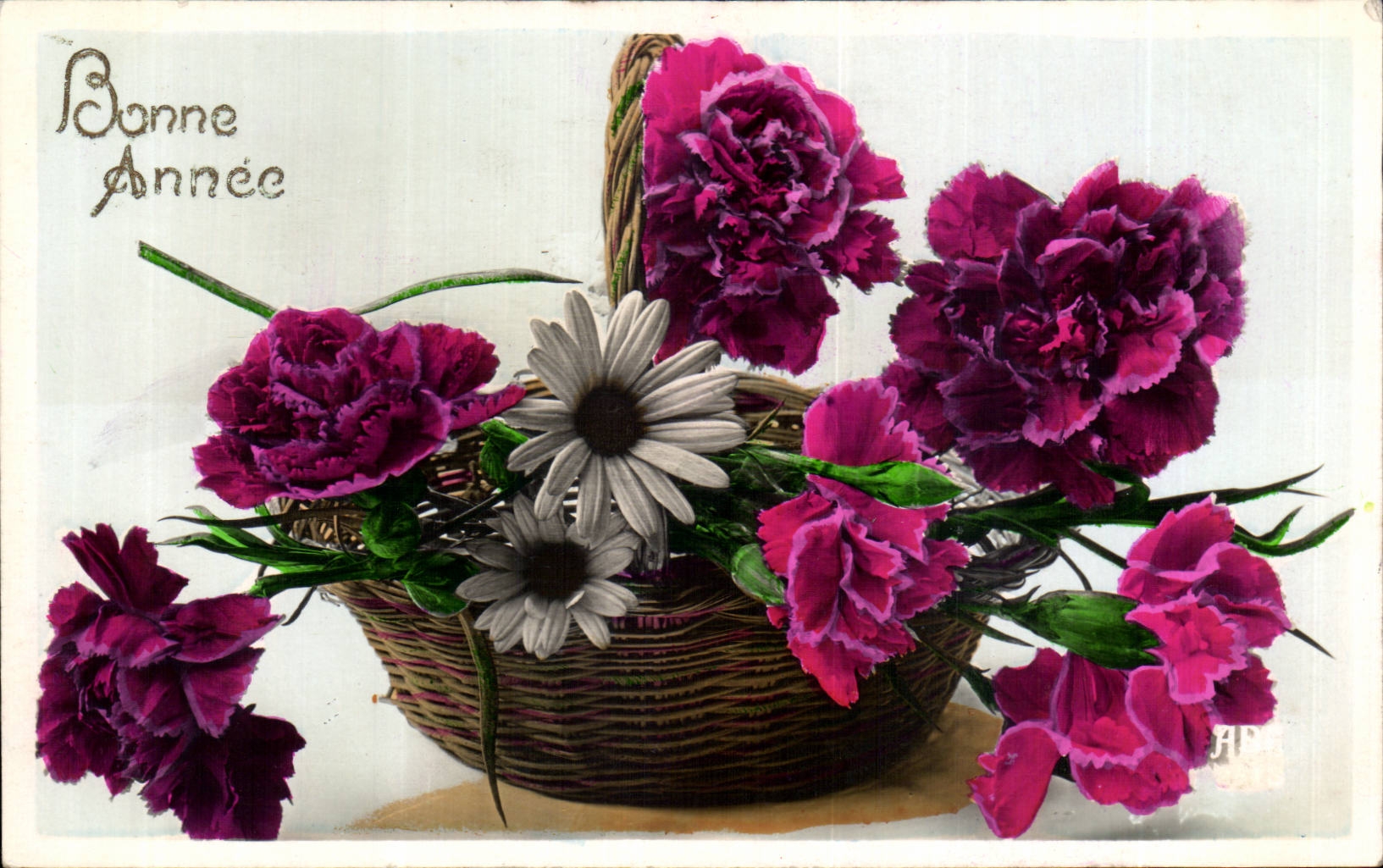 Fleurs Oeillet - Carnation - Bonne Annee - CPA 
