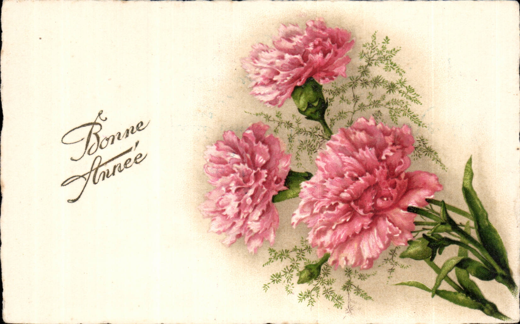 Fleurs Oeillet - Carnation - Bonne Annee - CPA 