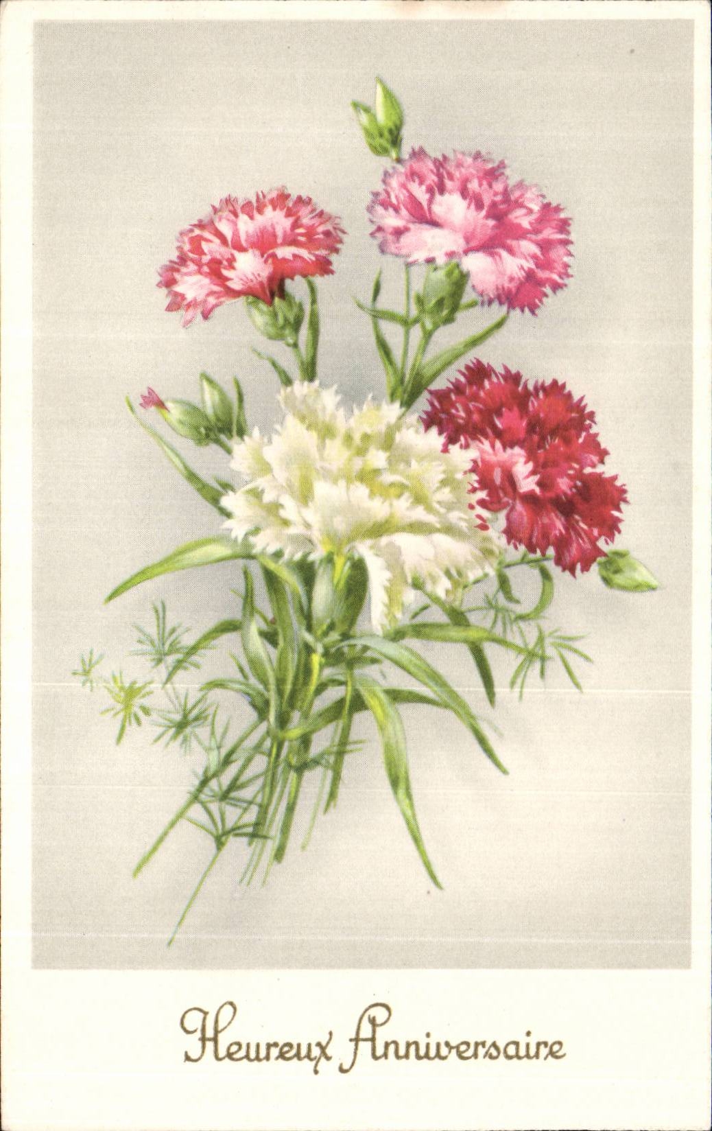 Fleurs Oeillet - Carnation - Heureux Anniversaire - CPA 
