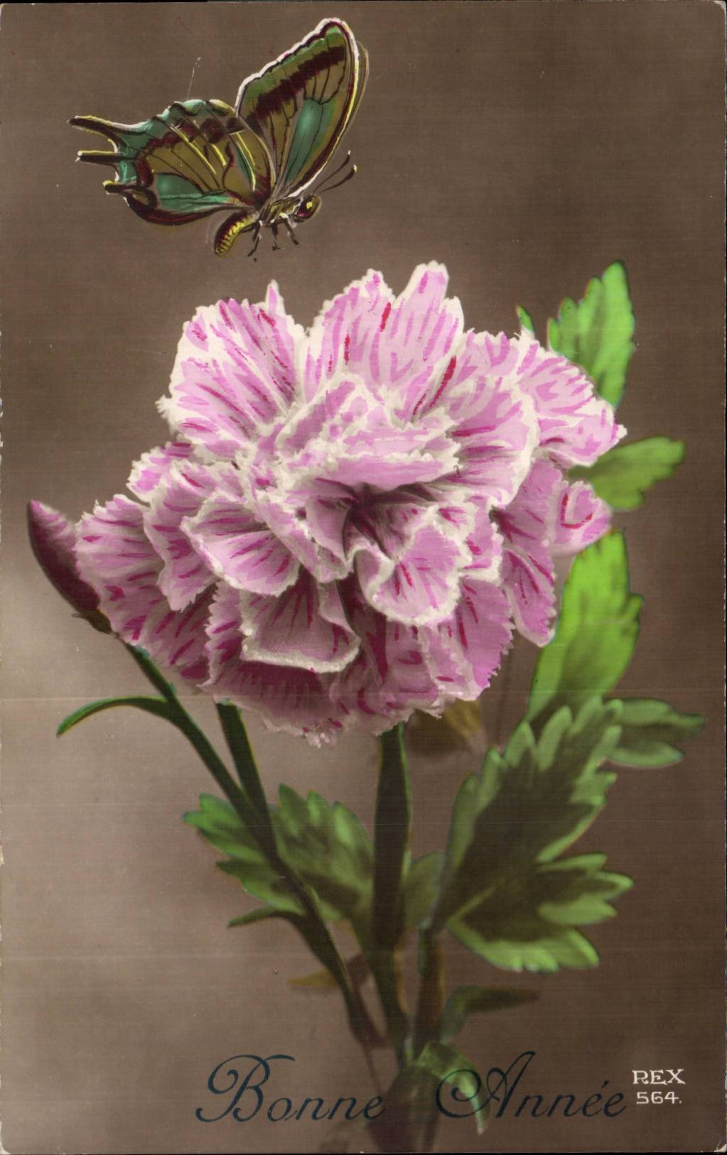 Fleurs Oeillet - Carnation - Bonne Annee - Papillon - Butterfly - CPA 