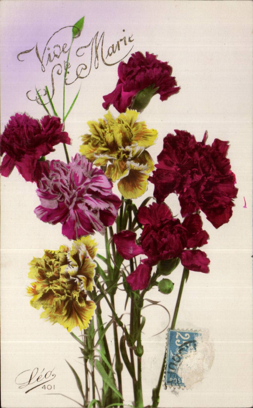 Fleurs Oeillet - Carnation - Vive Ste Marie - CPA 