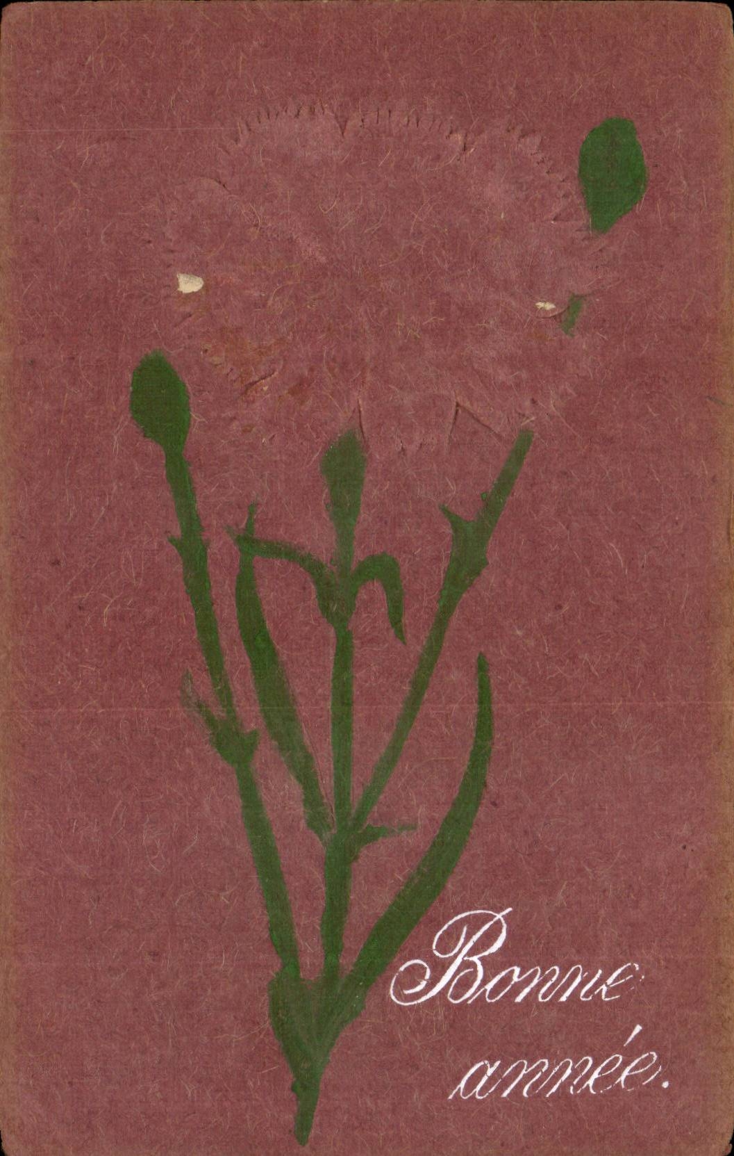 Fleurs Oeillet - Carnation - Bonne Annee - CPA 
