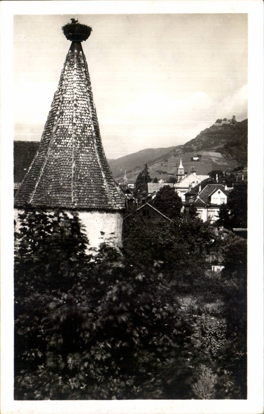 Ribeauville - Vieille Tour avec Nid de Cigogne - CPA