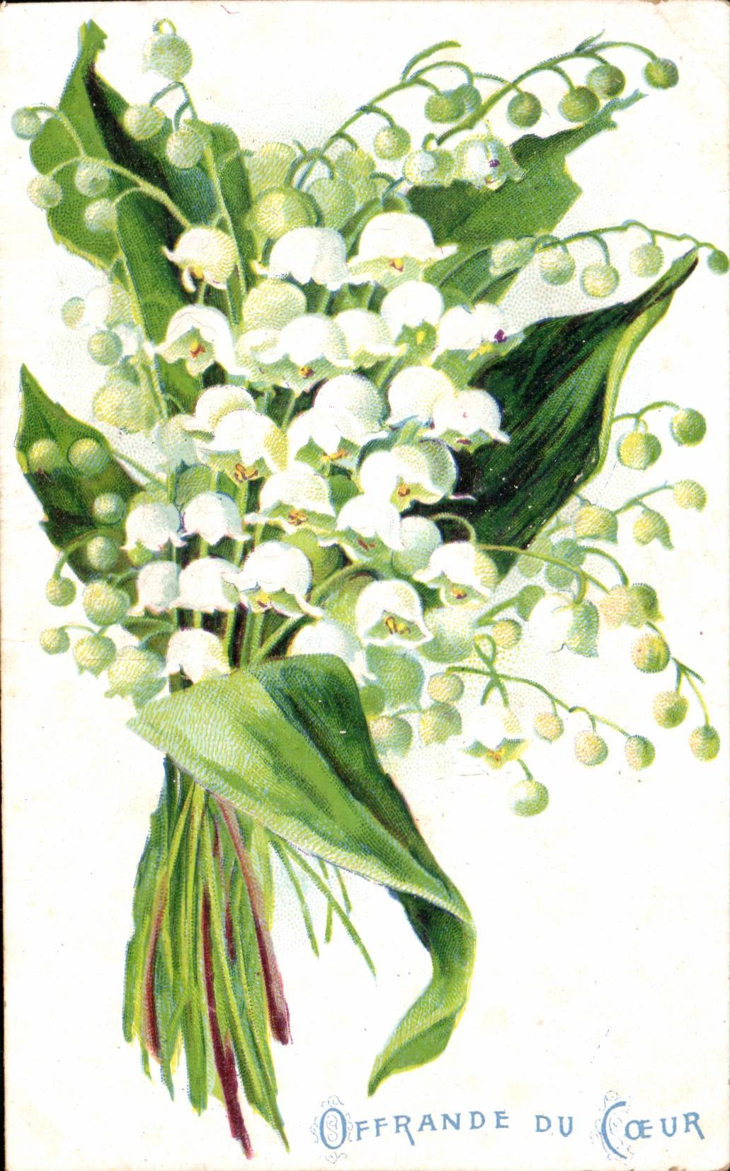 Fleurs Muguet - Lily of the Valley - Porte Bonheur - CPA 