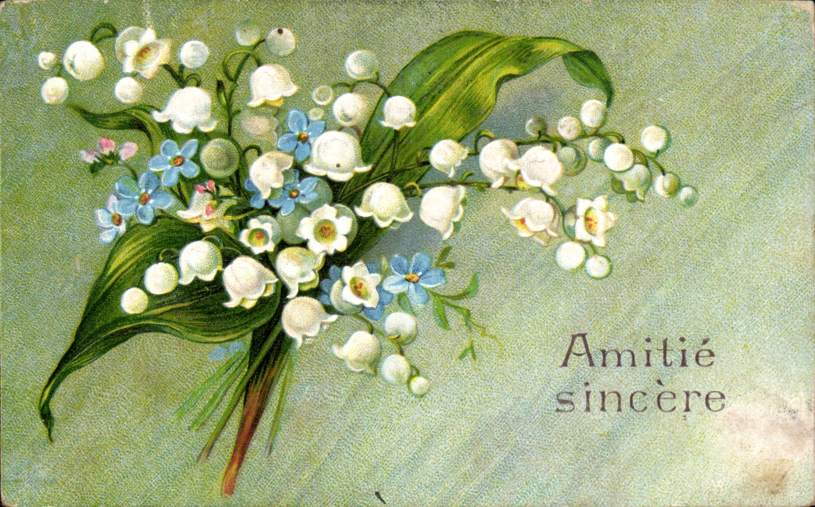 Fleurs Muguet - Lily of the Valley - Porte Bonheur - CPA 