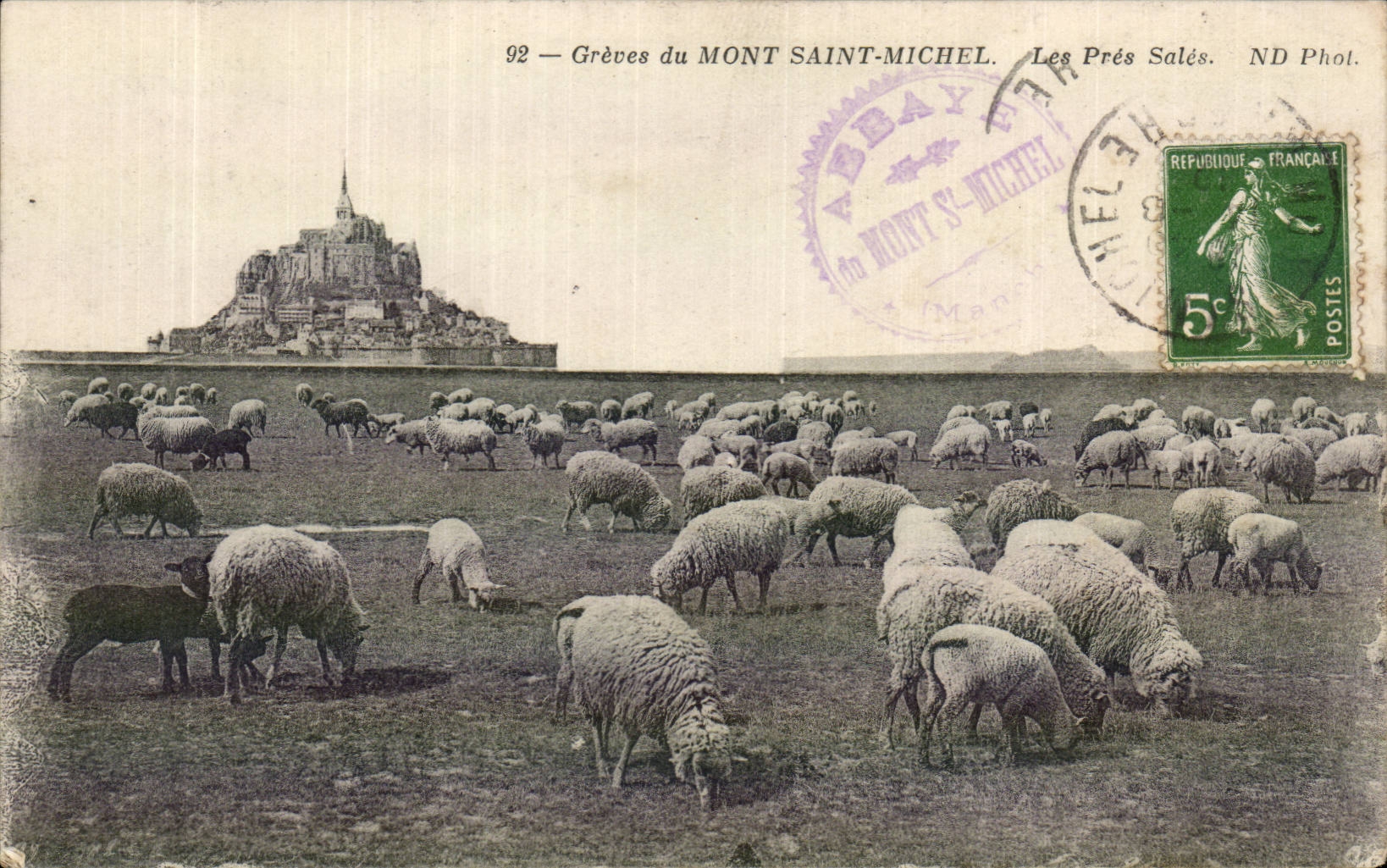 Le Mont Saint Michel - Greves - Les Pres Sales - CPA 
