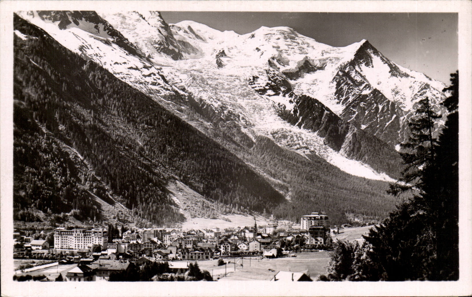 Chamonix - Le Mont Blanc - CPA 