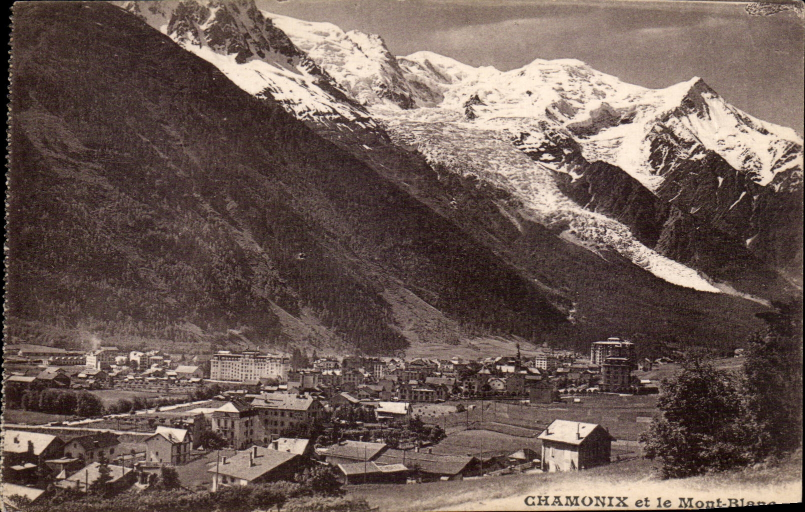 Chamonix - Vue Generale - Mont Blanc - CPA 