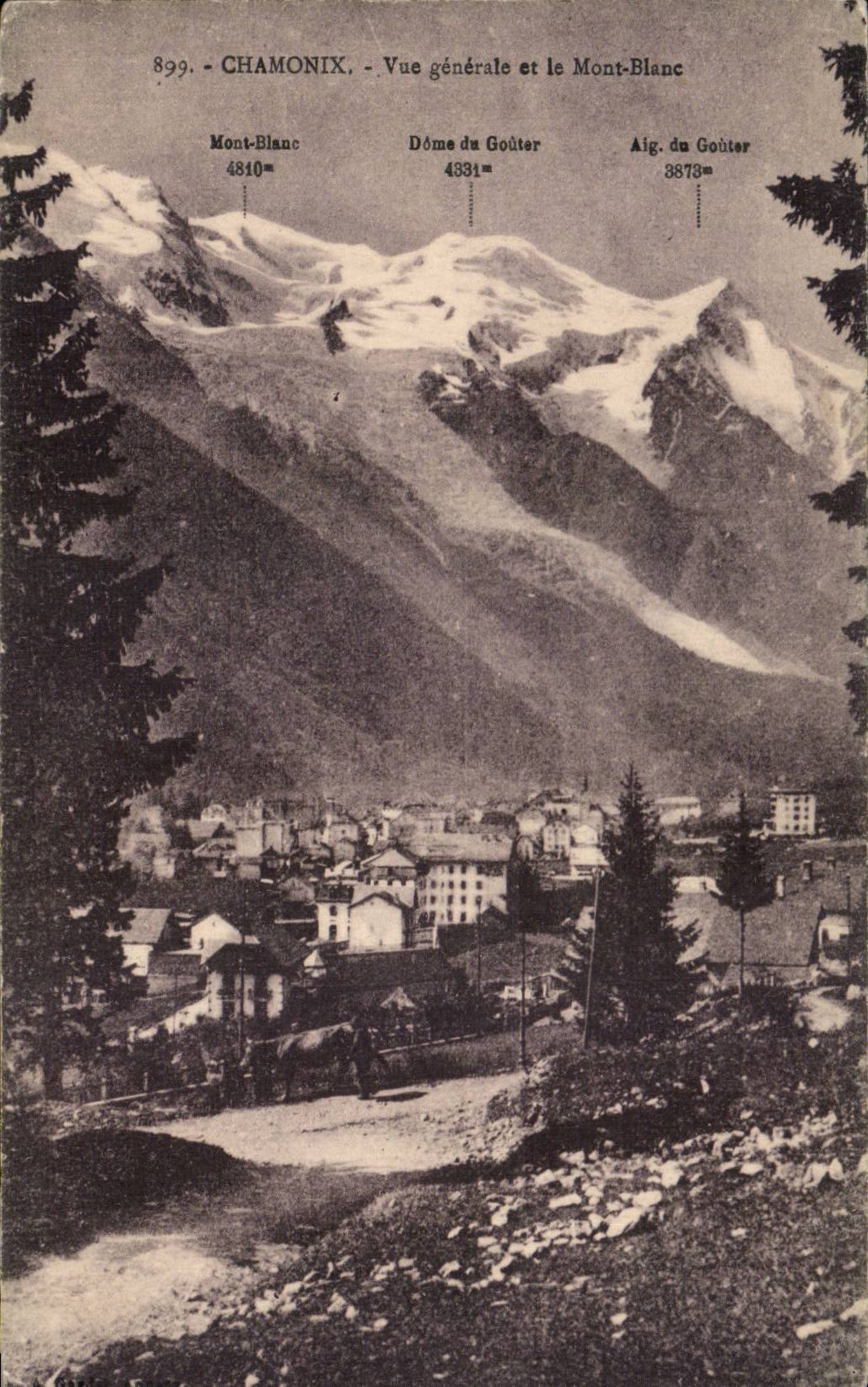 Chamonix - Vue Generale - Le Mont Blanc - CPA 