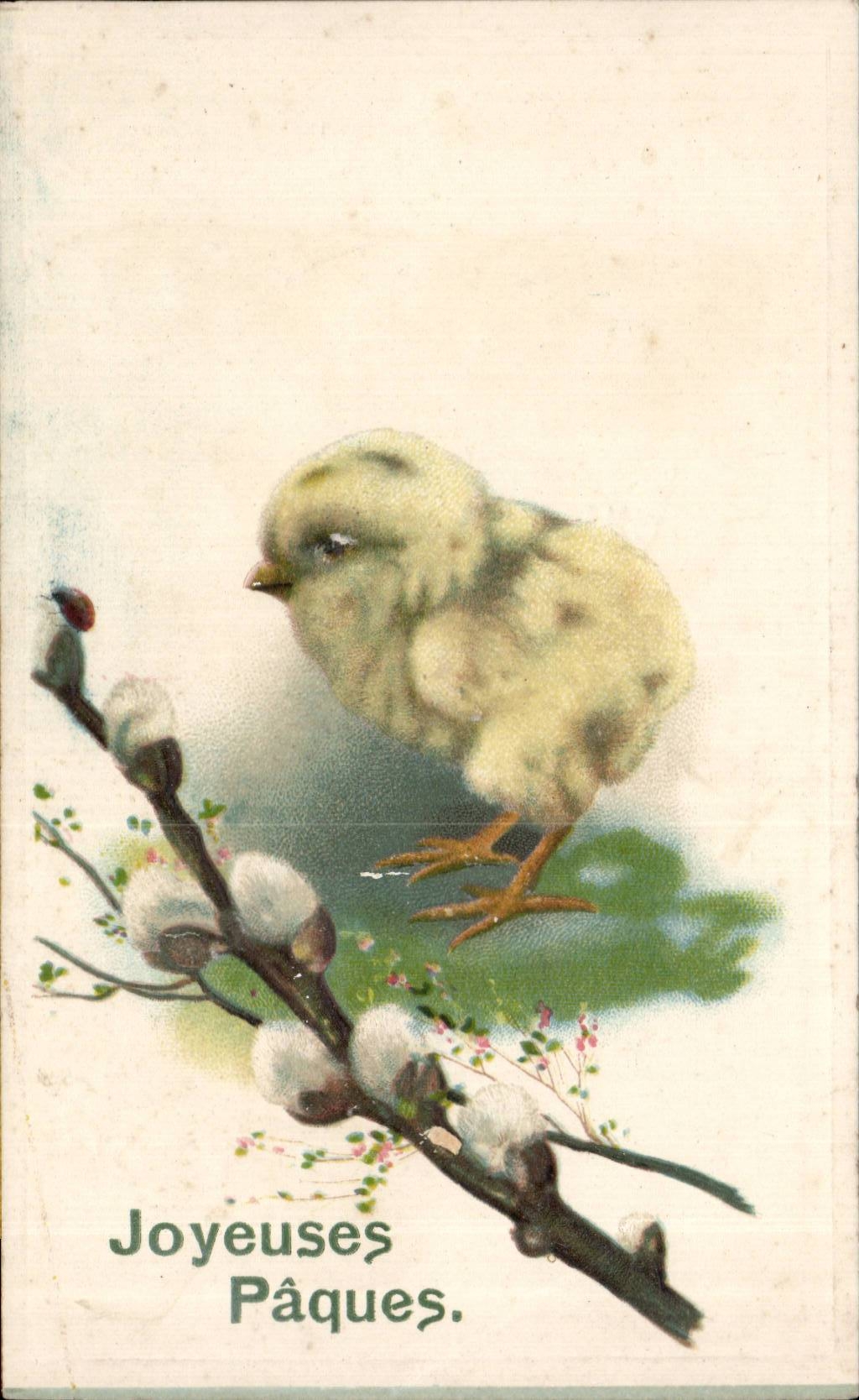 CPA Merry Fantasy Chick Easter Easter