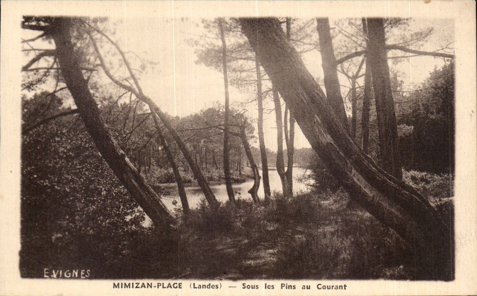 Mimizan Beach - Under the Pines with the Current - CPA