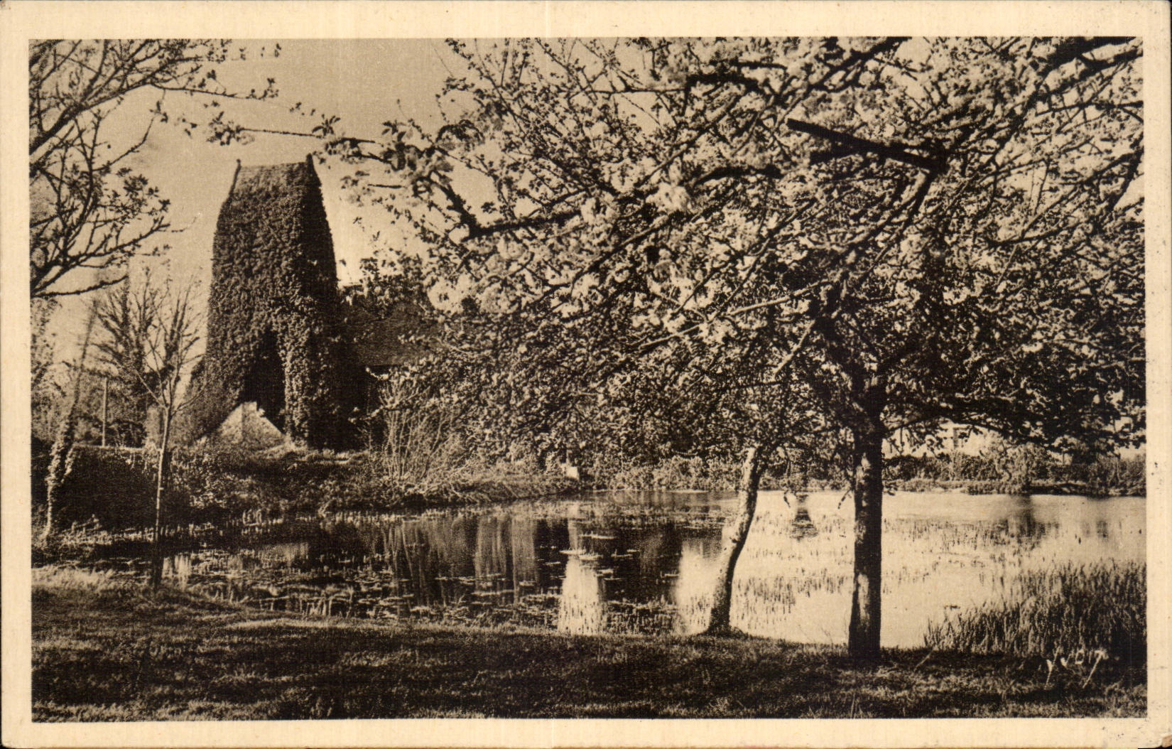 Criqueboeuf - XII century old Church - CPA