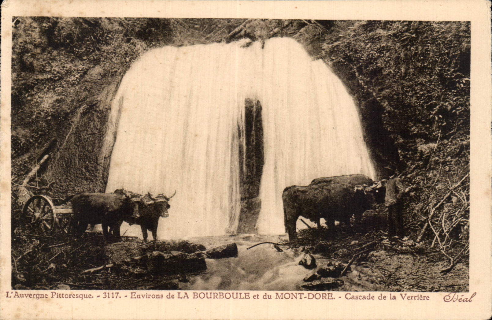 The Mount Gilds - Bourboule - Cascade of the Canopy - Cow - Cow - CPA