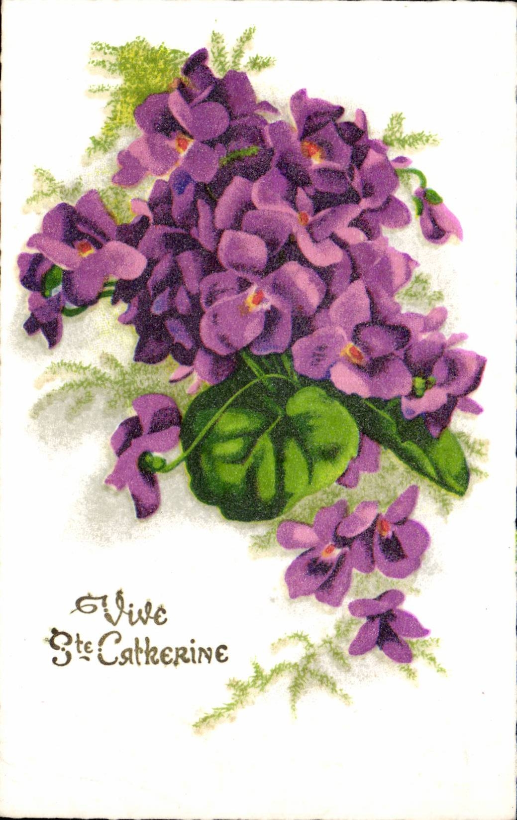 Fleurs Vive Ste Catherine - CPA 