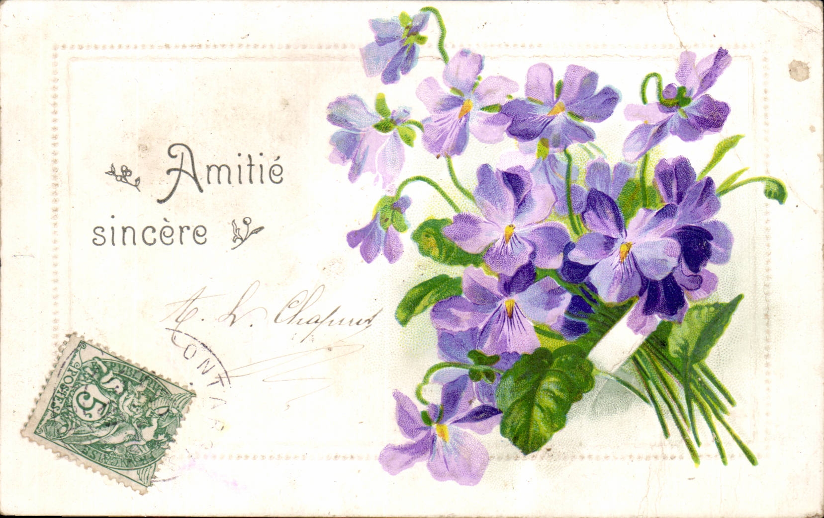 Fleurs violette - violet - Amitie Sincere - CPA 