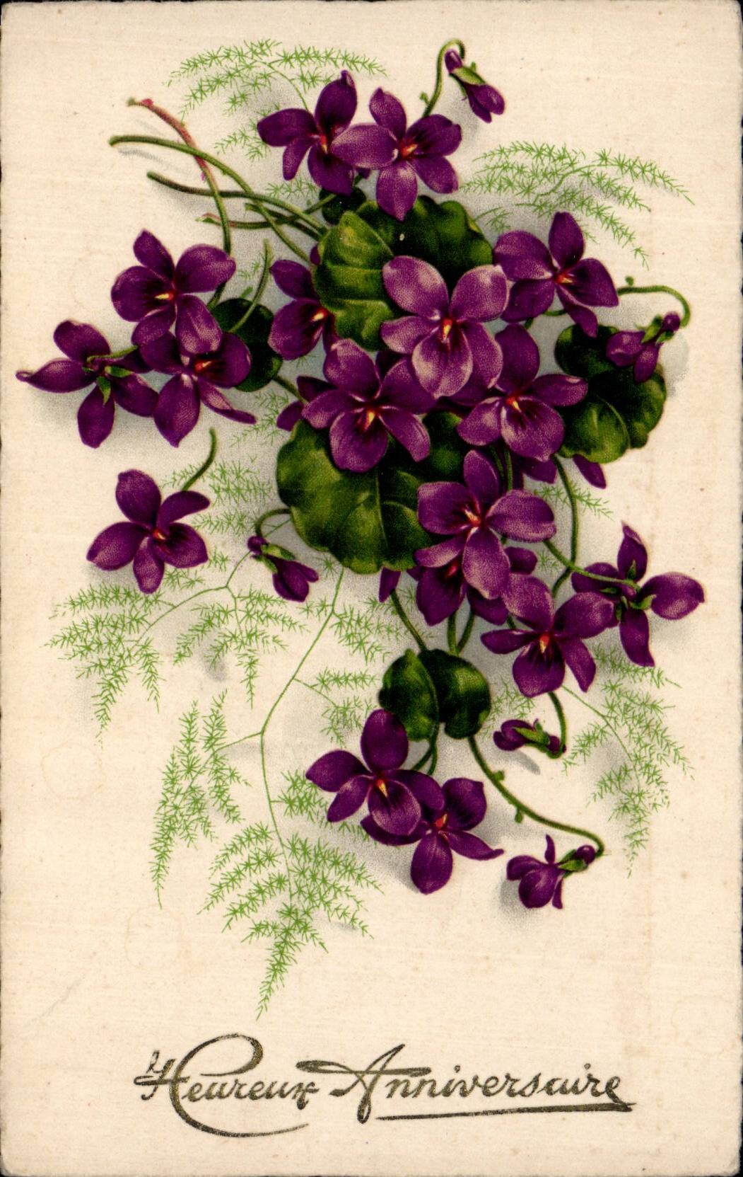 Fleurs violette - violet - Heureux Anniversaire - CPA 