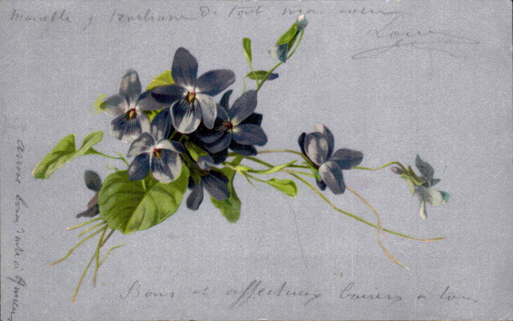 Fleurs violette - violet - CPA 