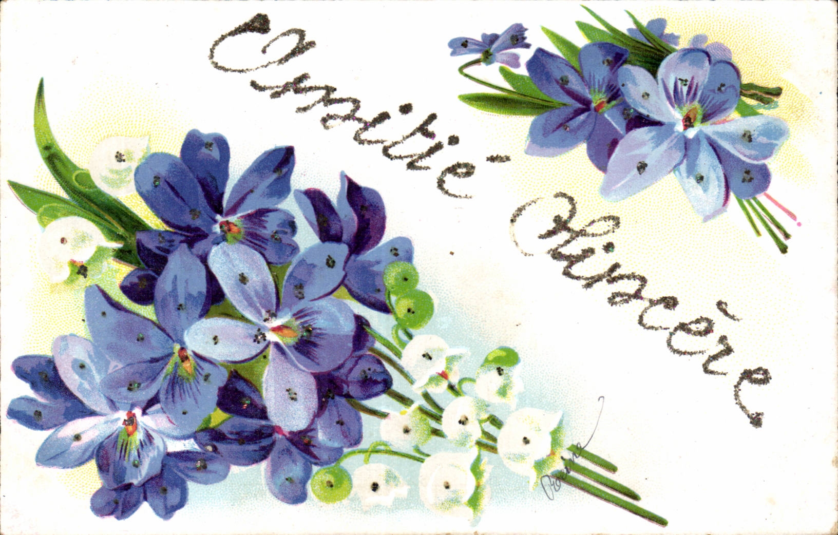 Fleurs violette - violet - Amitie Sincere - CPA 