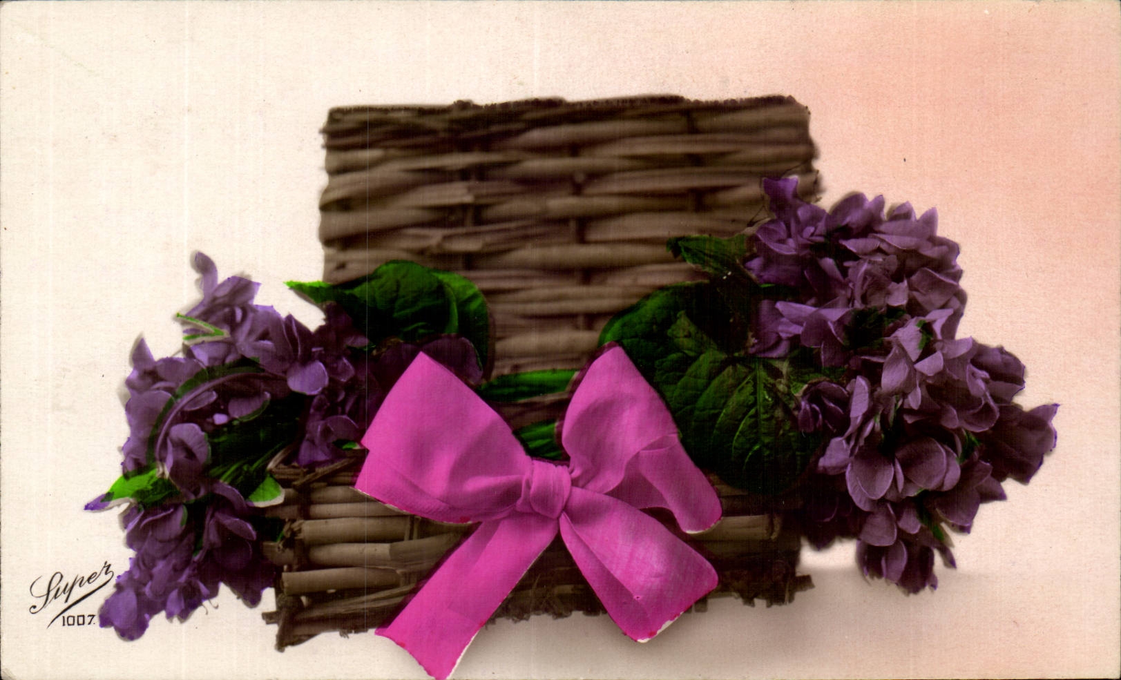 Fleurs Violette - Violet - CPA 