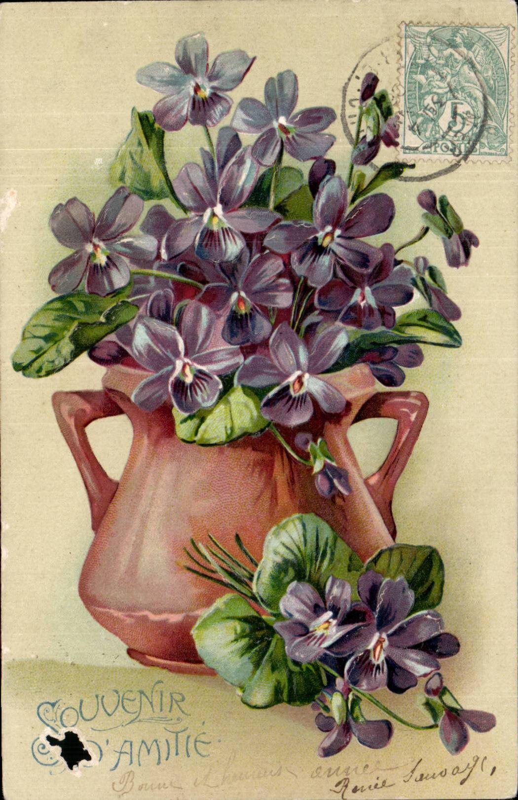 Fleurs Violette - Violet - CPA 