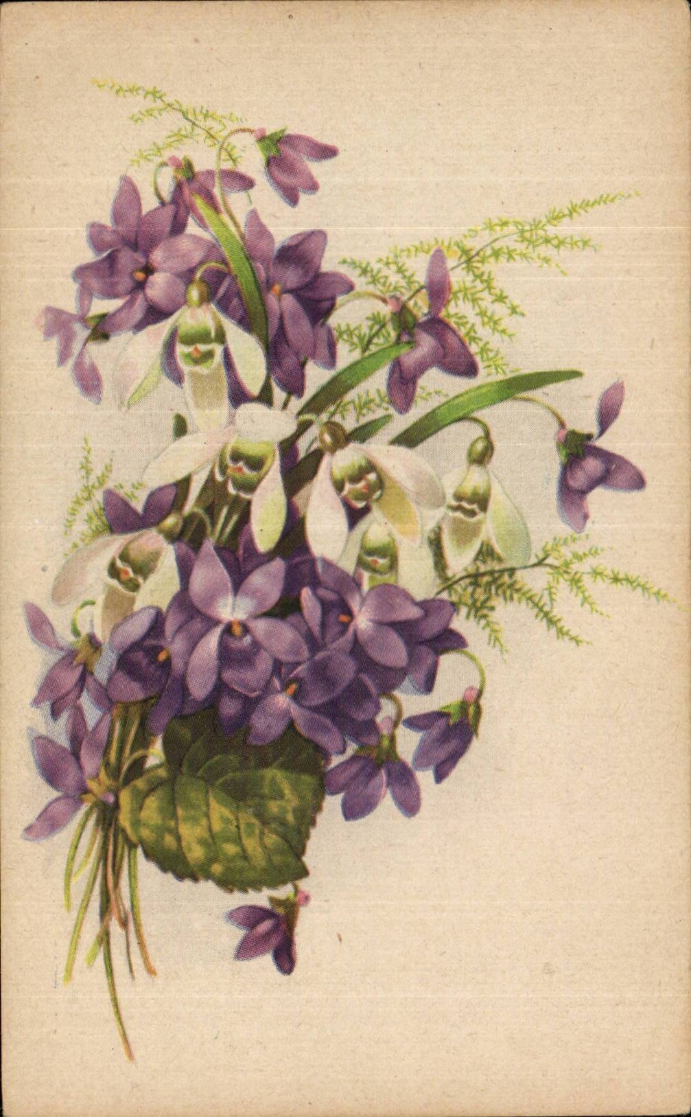 Fleurs Violette - Violet - CPA 