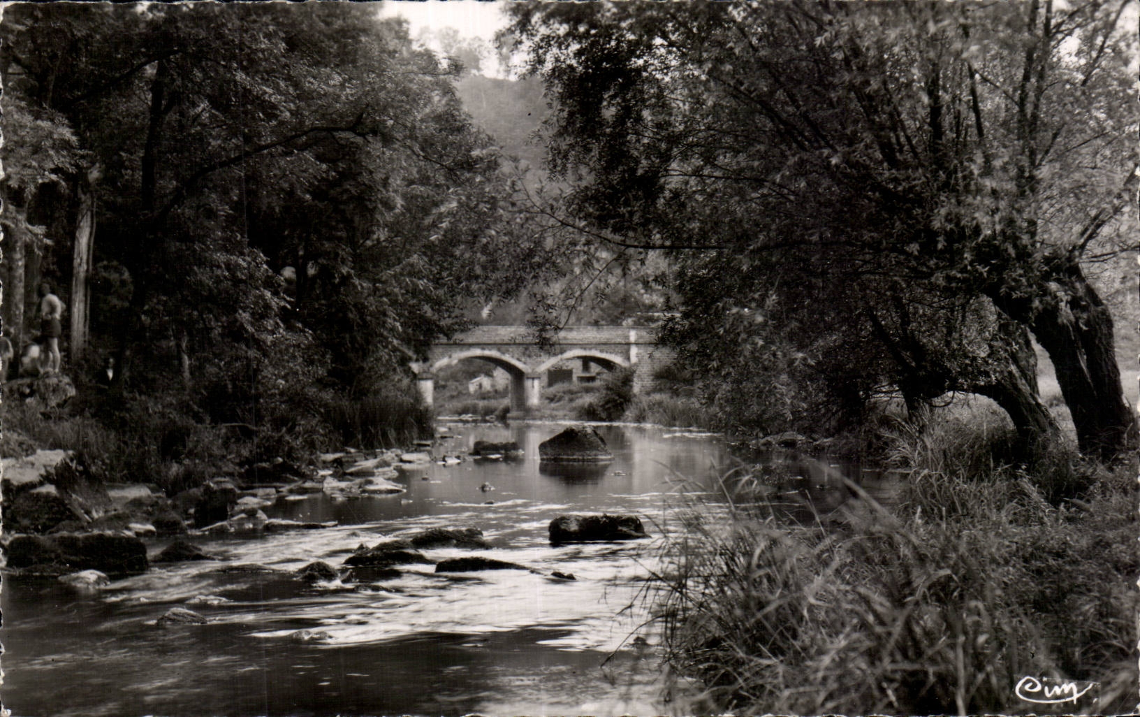Saint Leonard des Bois - Bords de la Sarthe - CPA