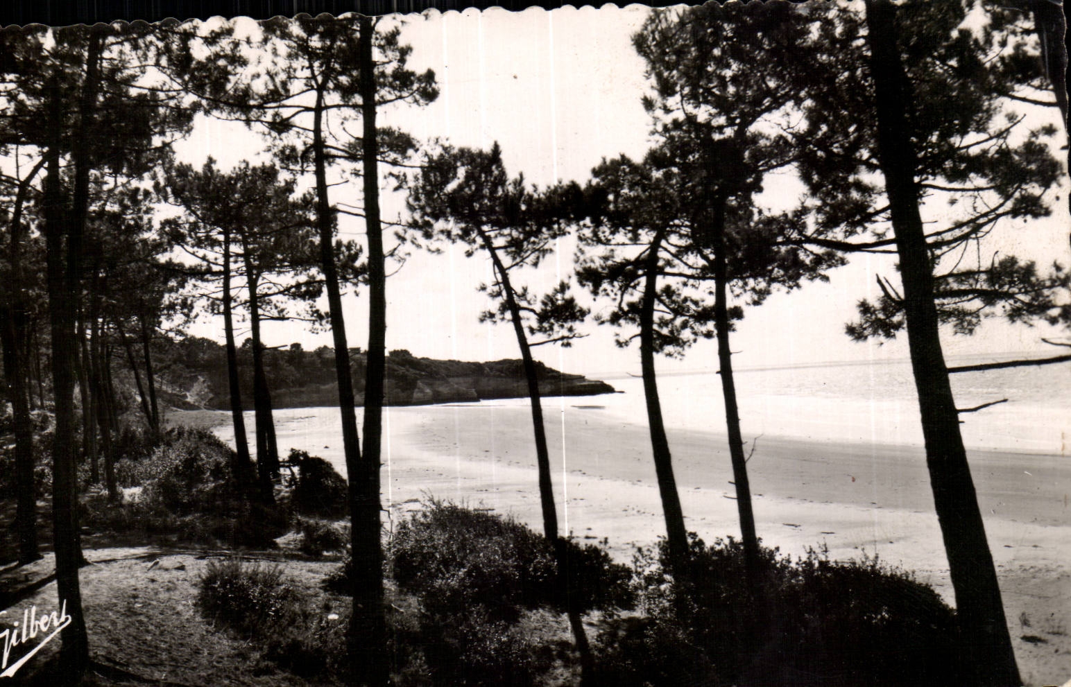 Meschers les Bains - Plage et la Pointe de Suzac - CPA