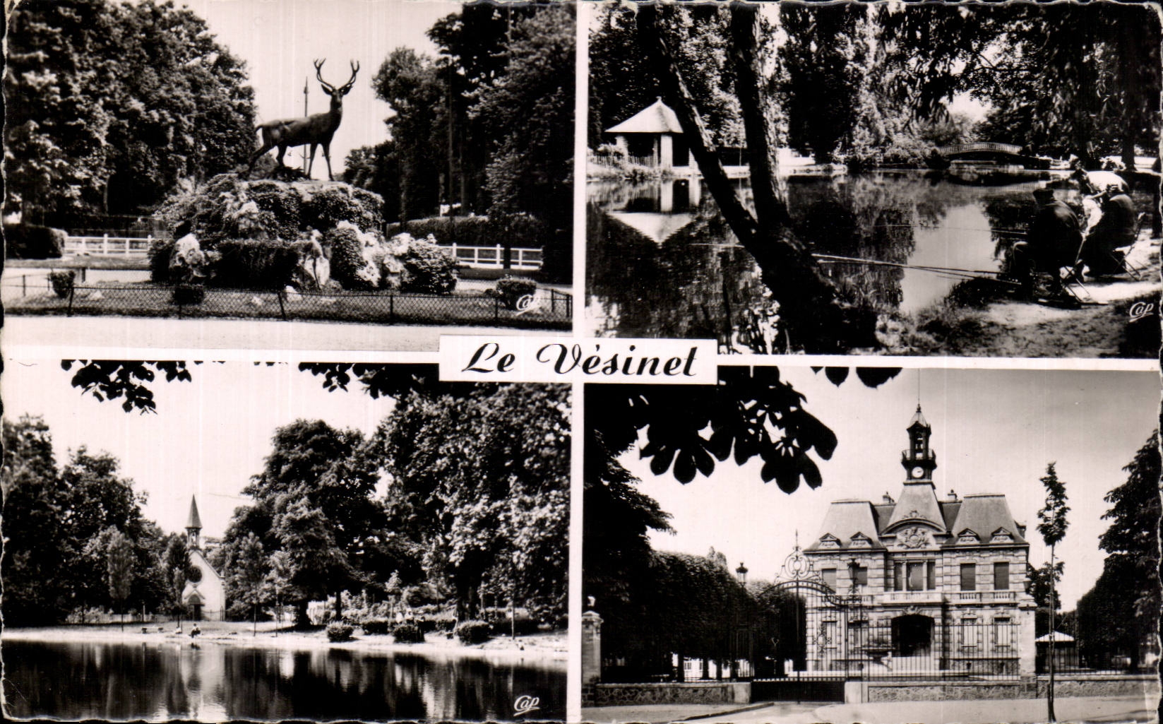 CPSM Le Vesinet Le rond point Royale Les Ibis Lac de Croissy La mairie